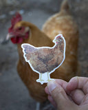 Chicken Vinyl Sticker - Rhode Island Red Hen Sticker