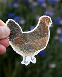 Ameraucana Chicken Vinyl Sticker