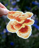 Chicken-of-the-Woods Mushroom Vinyl Sticker