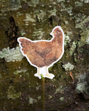 Chicken Vinyl Sticker - Rhode Island Red Hen Sticker