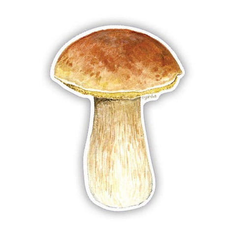 King Bolete Mushroom Vinyl Sticker