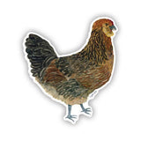 Ameraucana Chicken Vinyl Sticker