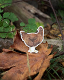 Chicken Vinyl Sticker - Rhode Island Red Hen Sticker