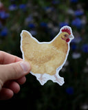 Buff Orpington Chicken Vinyl Sticker